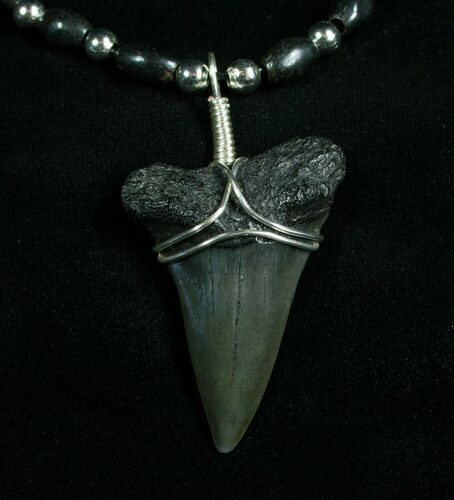 Fossil Mako Shark Tooth Necklace #4967